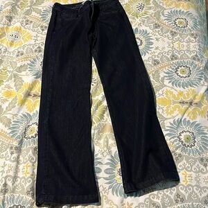 Banana Republic Dress Jeans